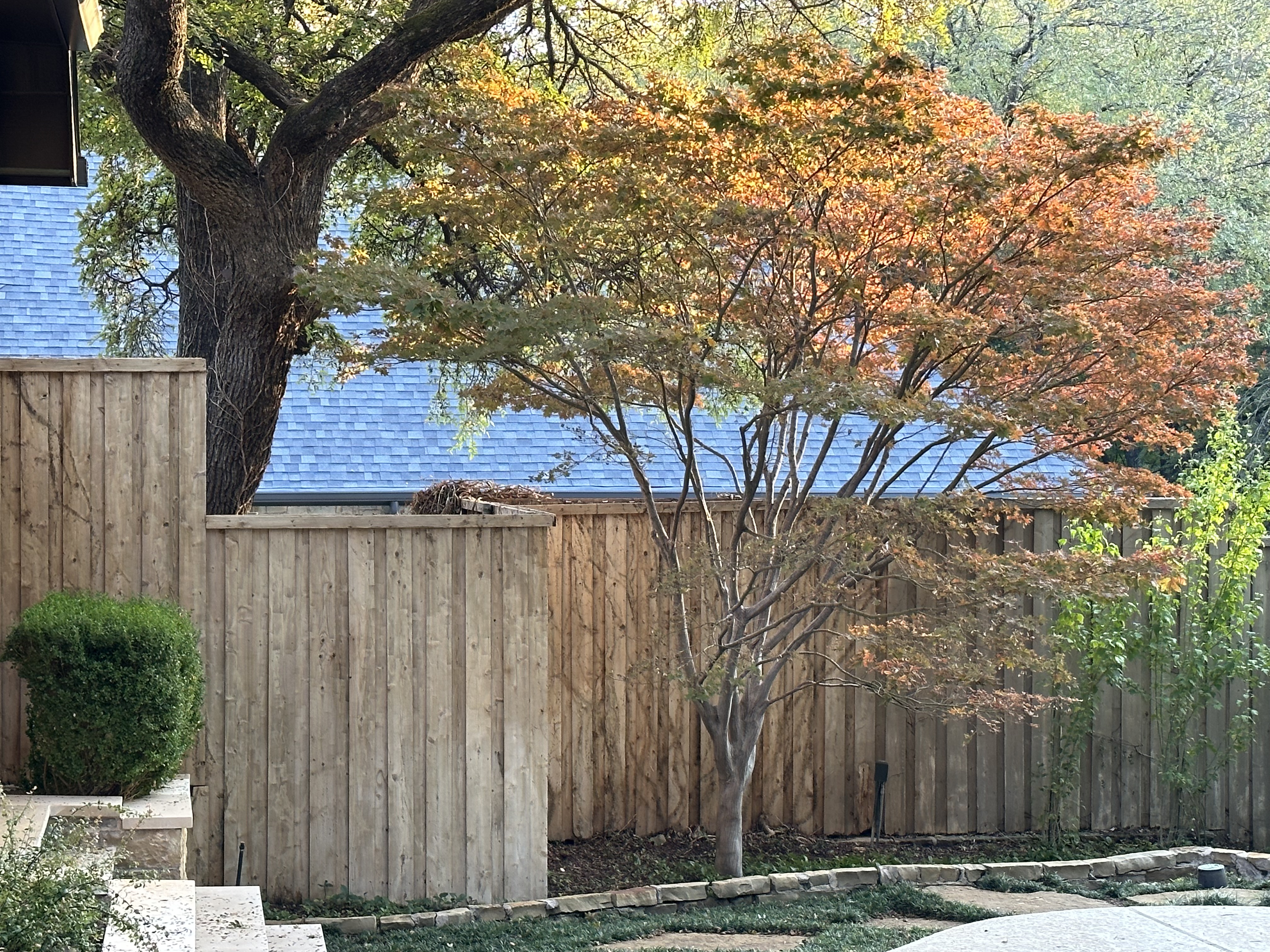 Fence Cleaning & Restoration in Plano, TX