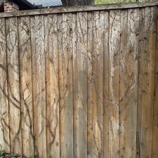 Fence-Cleaning-Restoration 2