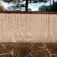 Professional-Softwashing-of-a-Stucco-Home-and-Sandstone-Walkway-Patio 19