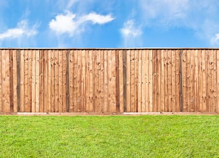 Fence Cleaning